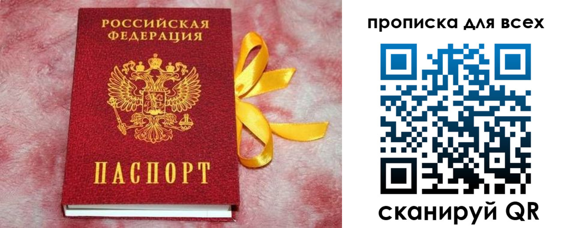 прописка для школы в Старом Осколе
